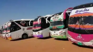 بصات.jpeg