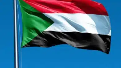 19 2022 637954131612747671 274 643x470.jpg