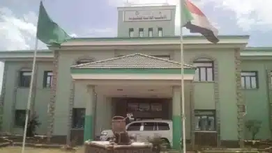أمانة حكومة جنوب دارفور.jpg