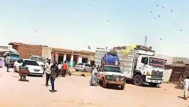شاحنات تجارية 920x414 1 780x414.jpeg