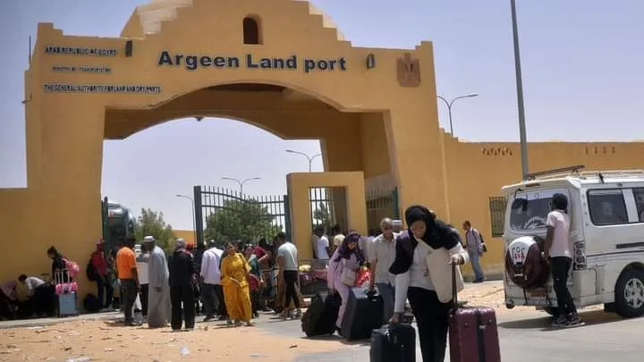 أرقين
