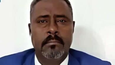 الباشا طبيق