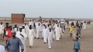 ولاية الجزيرة