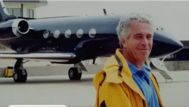 20260202 172239 ٠٠٠٠