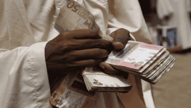 الجنيه السوداني العملة السودانية