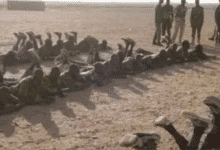 الجيش السوداني