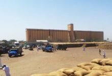 الصومعة ولاية القضارف