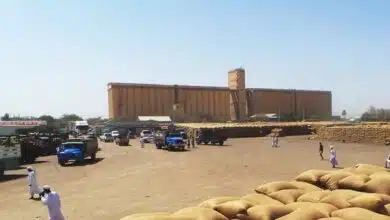 الصومعة ولاية القضارف