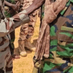 رتبة ملازم أول القوة المشتركة