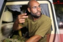 سيف الإسلام القذافي