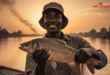 صورة تعبيرة توضح اصطياد الاسماك