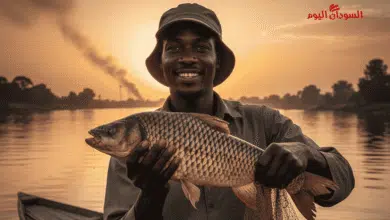 صورة تعبيرة توضح اصطياد الاسماك