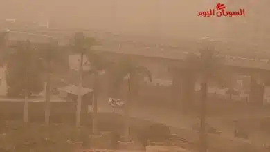 عاصفة ترابية في القاهرة