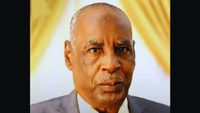 وكيل وزارة التعليم والتربية الوطنية السوداني، أحمد خليفة
