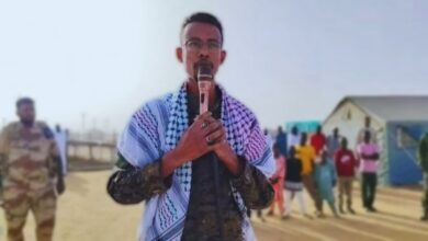المصباح طلحة في الدبة