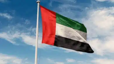 علم_دولة_الإمارات_العربية