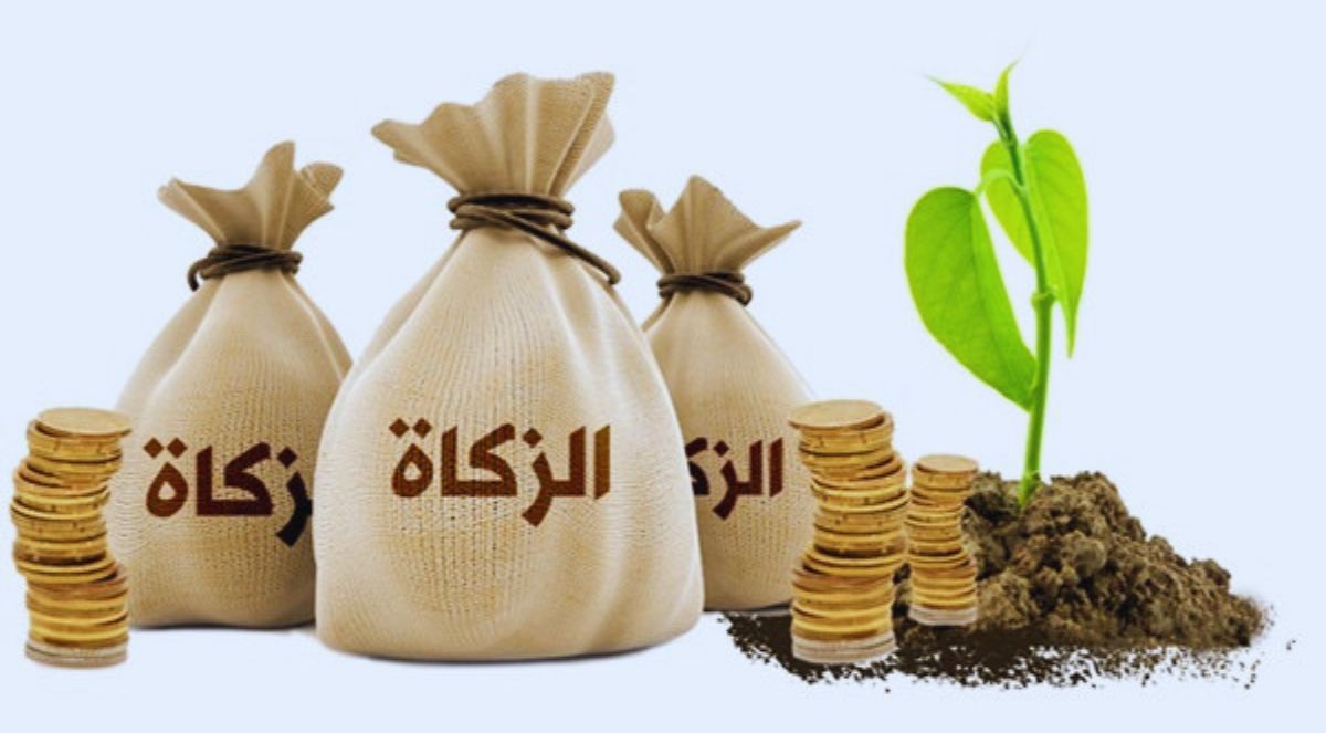جدل واسع بعد تصريحات بشأن الزكاة.. مسؤول بالفقه الإسلامي يرد على رئيس الوزراء 1 الزكاة الإسلامية