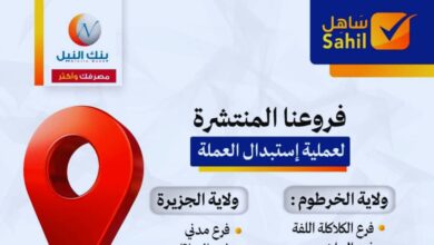 استبدال العملة يدخل مرحلة جديدة.. ماذا أعلن بنك النيل؟