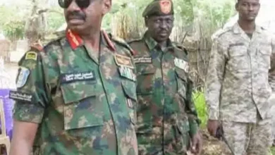 قائد الفرقة الرابعة بالدمازين يتفقد الخطوط الأمامية ويؤكد الجاهزية القتالية الكاملة 2 FB IMG 1785522735432 499x470 1