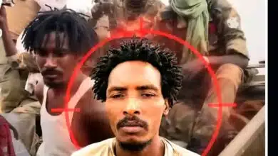 Screenshot ٢٠٢٦٠٧٣١ ١٠٥٢٣١ Gallery