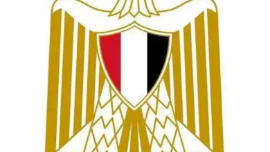 وفاة سيدة سودانية في حريق بمول تجاري في القاهرة 9 FB IMG 1774957331766 648x470 1 5