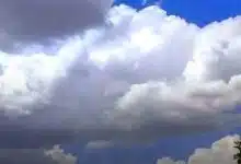 FB IMG 1786265702763 1
