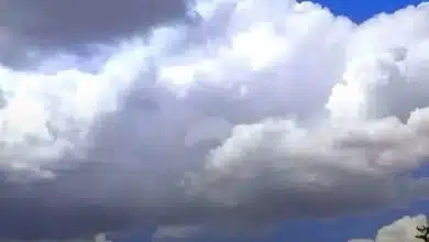 FB IMG 1786265702763 1
