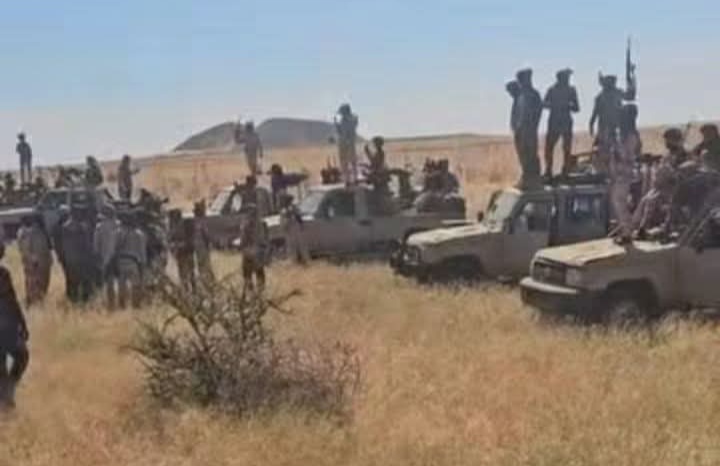 37 عربة و291 من القوة.. ماذا حدث في الدبة؟ 1 IMG ٢٠٢٦٠٨١٣ ١٧٢٥٠٥
