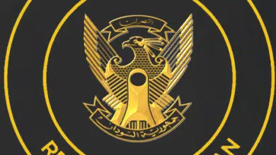 مجلس الوزراء 476x430 1