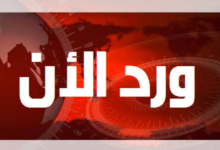 وردنا الأن
