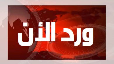 وردنا الأن