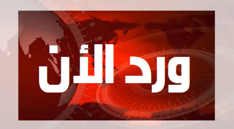 وردنا الأن