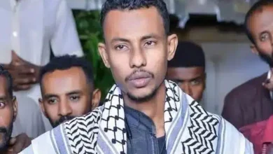 المصباح ابو زيد 526x470.jpg 2 1