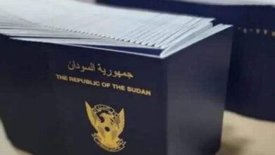 تحذير إلى السودانيين حاملي الجوازات الصادرة من القاهرة 3 جوازات السودان 750x430 ١