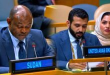 كولاج سودان امارات 802x485 1 768x464 1