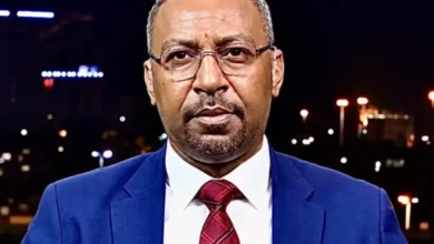 أمجد فريد يكشف تفاصيل مهمة بشأن قبول الهدنة 2 أمجد فريد.jpeg 780x470 1